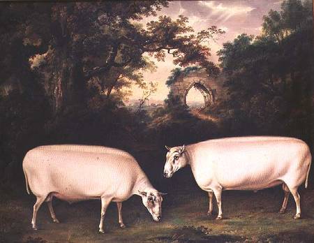 Two Prize Border Leicester Rams in a Landscape od Thomas Weaver