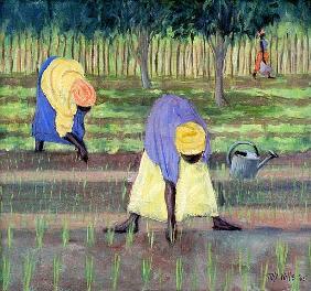 Women Gardening, 2005 (oil on canvas) 