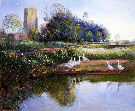 Geese at Sundown, 1991  od Timothy  Easton