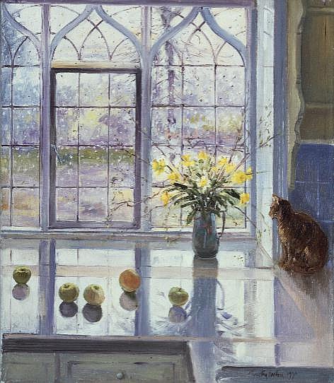 Rain Watching  od Timothy  Easton