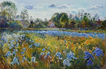 Iris Field in the Evening Light, 1993 