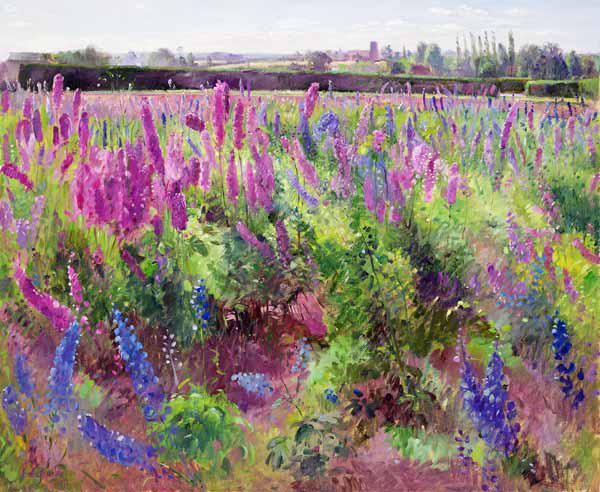 The Delphinium Field, 1991 