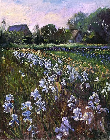 White Irises and Farmstead, 1992  od Timothy  Easton