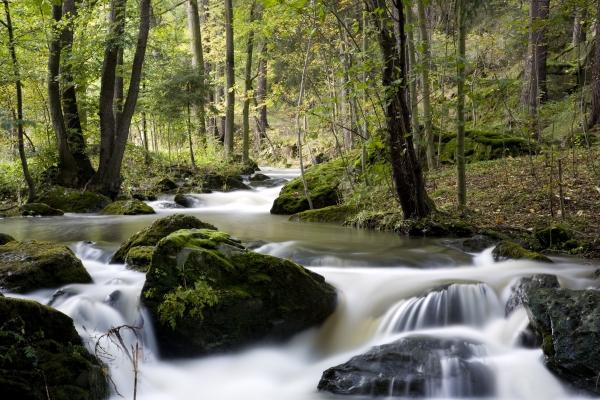 Wilder Fluss in einem Tal od Tobias Ott