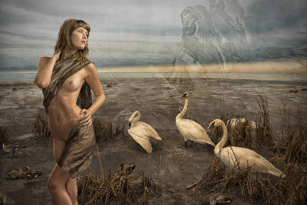 Leda and the Swans od Tom Gore