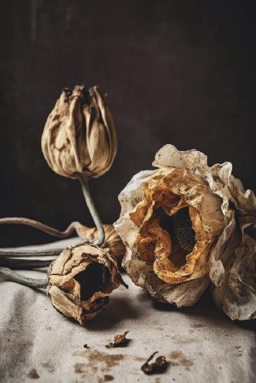 Close Flower Bouquet