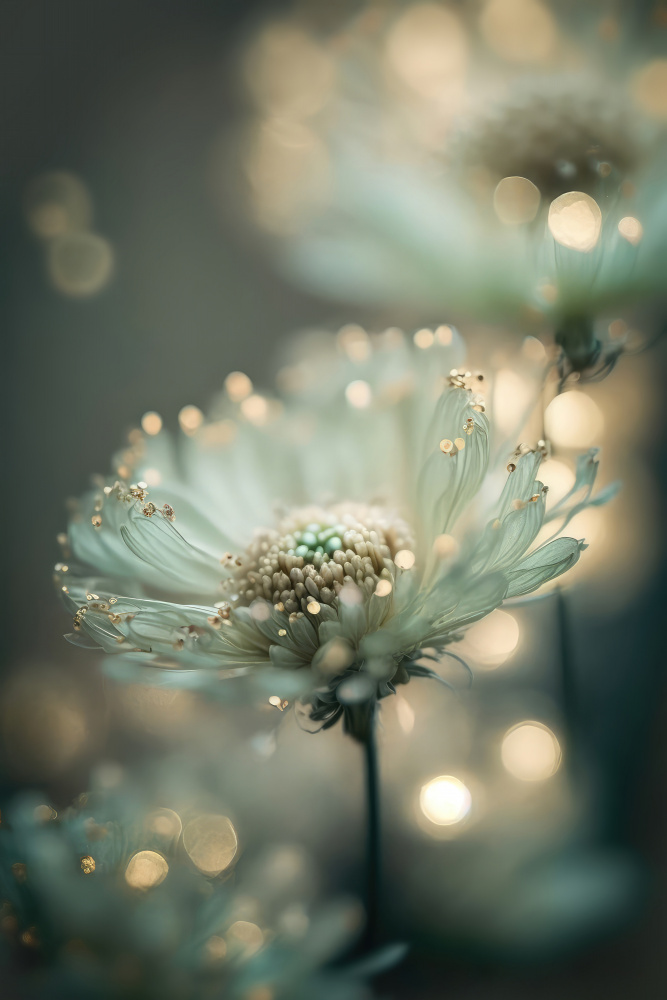 Mint Flower od Treechild
