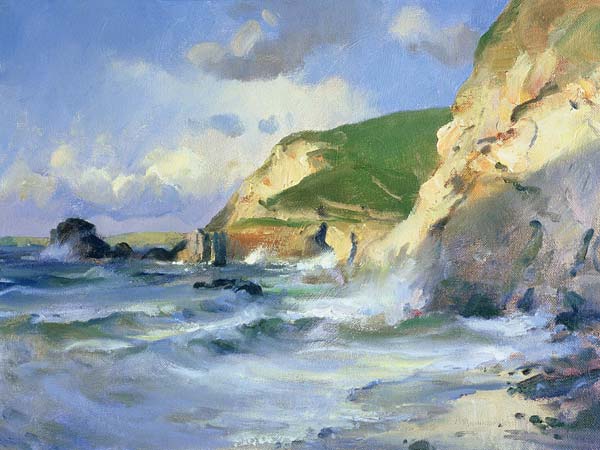 Cliffs at St. Agnes (oil on canvas)  od Trevor  Chamberlain