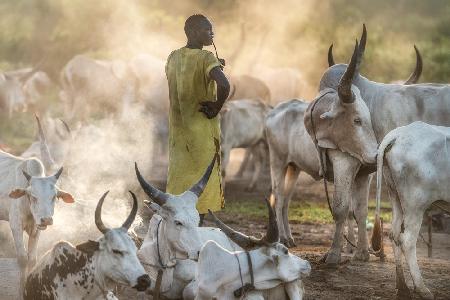 A Dinka herder