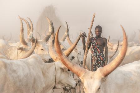 Framed Mundari herder