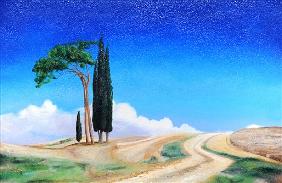 4 Trees, Picenza, Tuscany