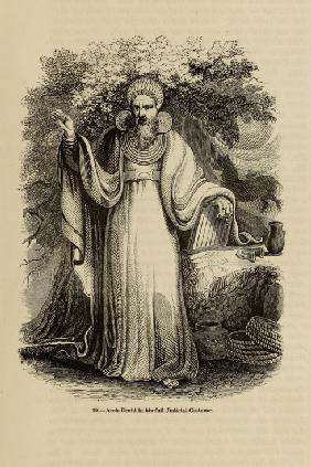 Arch-Druid in his full Judicial Costume (From the book "Old England: A Pictorial Museum")