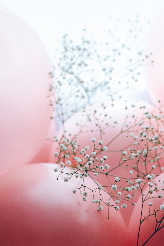 Blooms and Balloons - Moment like this od uplusmestudio