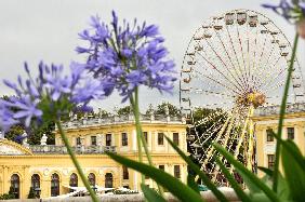 Riesenrad und Putte