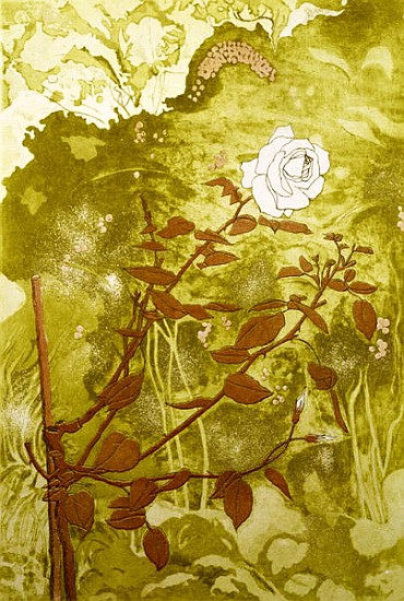 Rose (print) od Valerie  Daniel