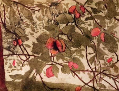 Plums (print)