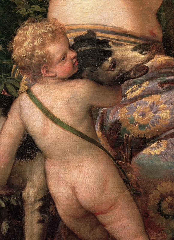 Cupid, detail from Venus and Adonis od Veronese, Paolo (eigentl. Paolo Caliari)