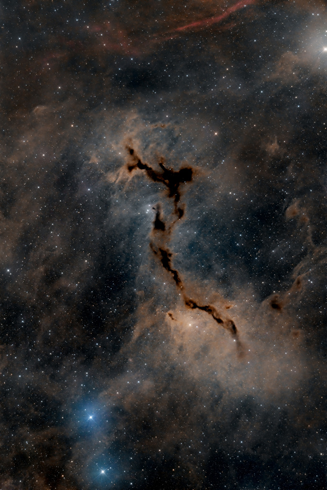 The Seahorse Nebula od Vikas Chander