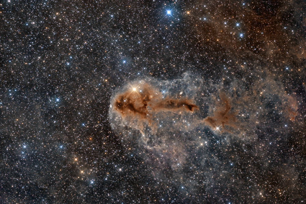 Rotten Fish Nebula od Vikas Chander