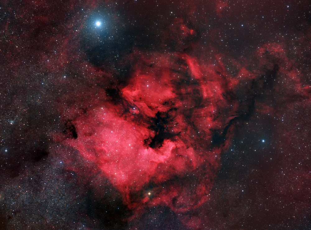 North American Nebula od Vikas Chander