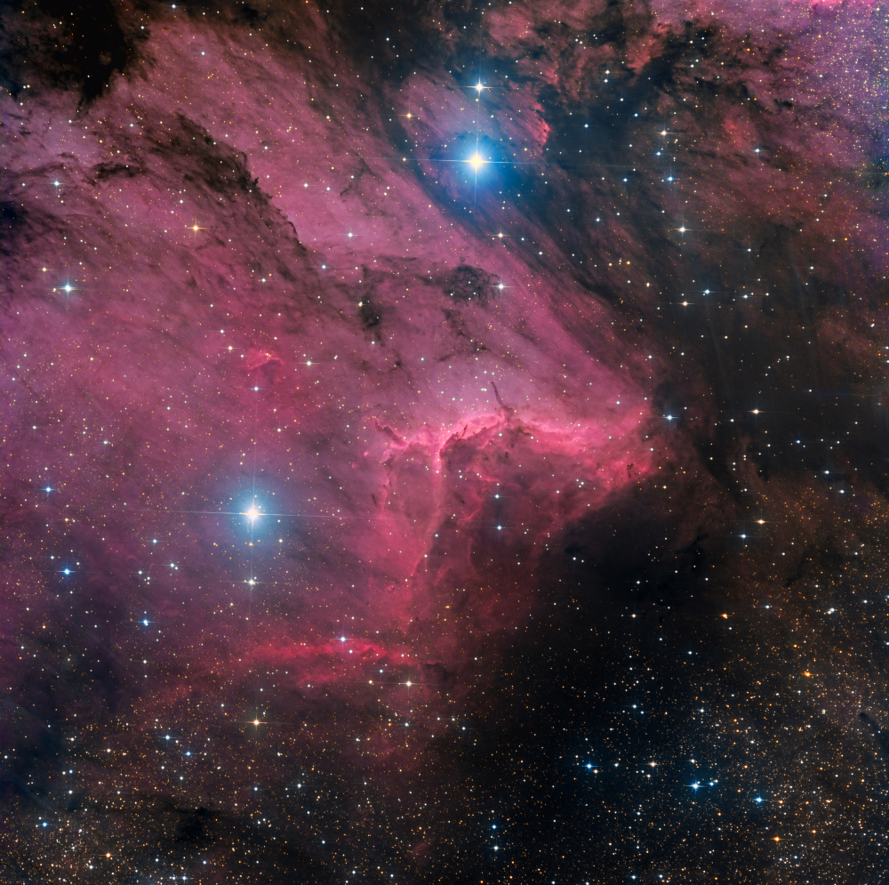 Pelican nebula od Vikas Chander