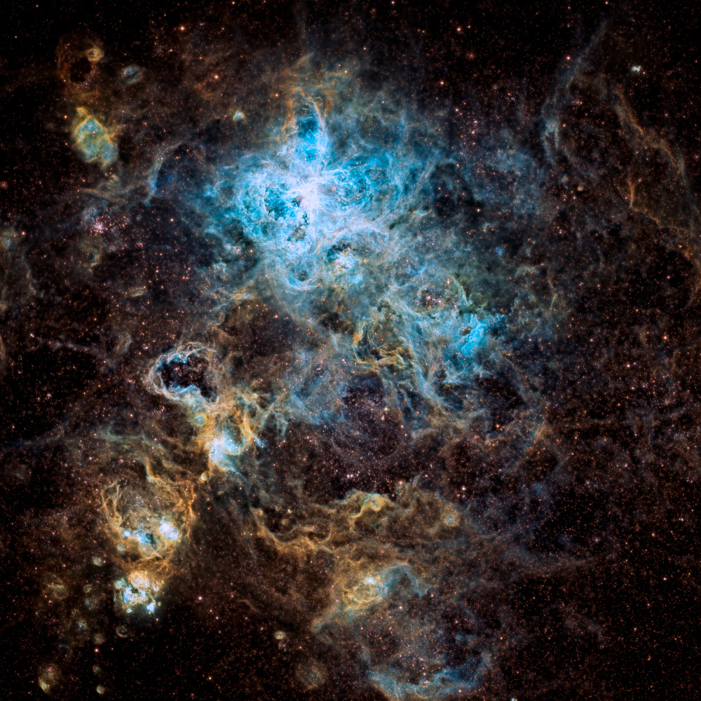 Tarantula Nebula od Vikas Chander