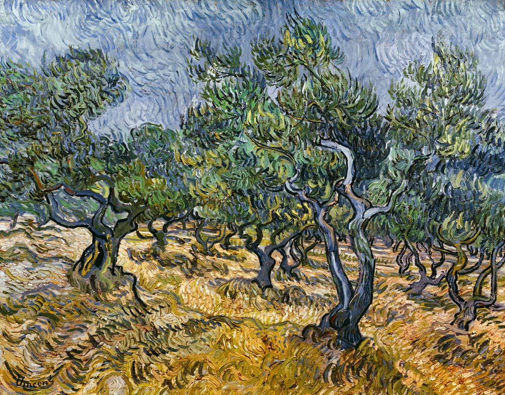 Olive grove od Vincent van Gogh