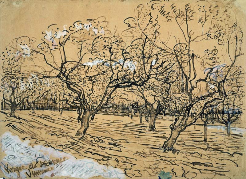 V.van Gogh, Orchard / Drawing / 1888 od Vincent van Gogh