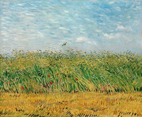 Wheatfield with Lark od Vincent van Gogh