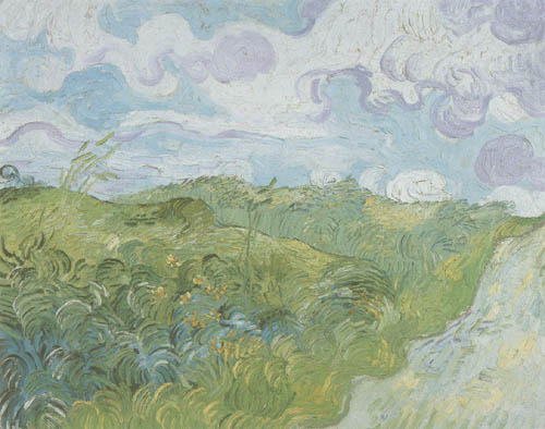 Green wheat field od Vincent van Gogh