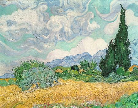 Wheat field with cypresses