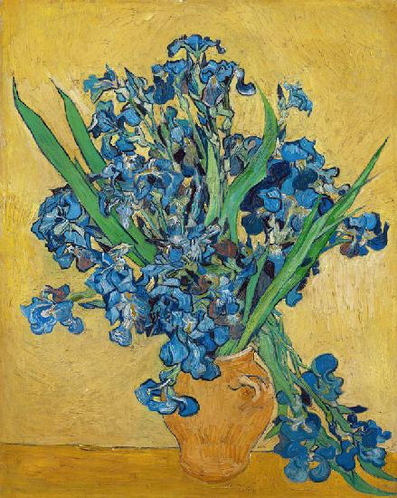 Irises - Vincent van Gogh