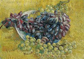 Still life with grapes