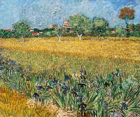 Blick auf Arles mit Irisblüten