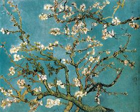 Květoucí větve mandlového stromu - Vincent van Gogh