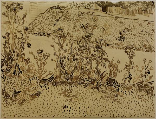 V.v.Gogh, Thistles along Roadside /Draw. od Vincent van Gogh