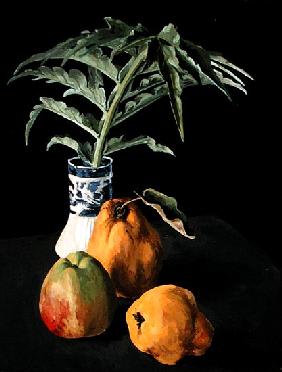 Still Life with Fruit