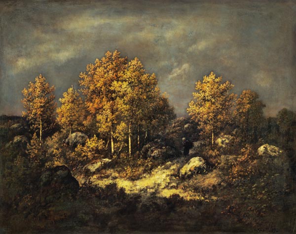 The Jean de Paris Heights in the Forest of Fontainebleau od Virgilio N. Diaz de la Pena