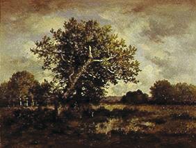 Bog landscape with oak and poacher