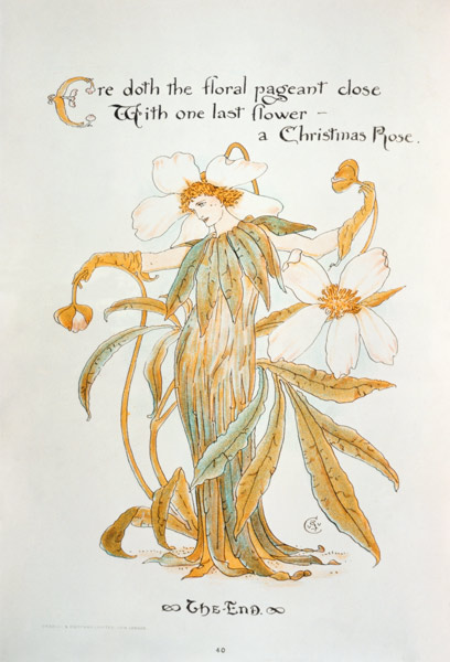 Christmas Rose od Walter Crane