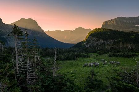 Good Morning, Glacier NP