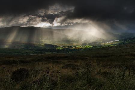 Approaching Rain