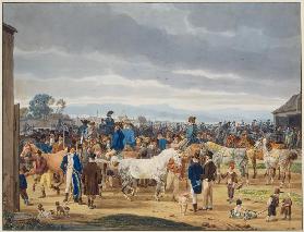 Horse market