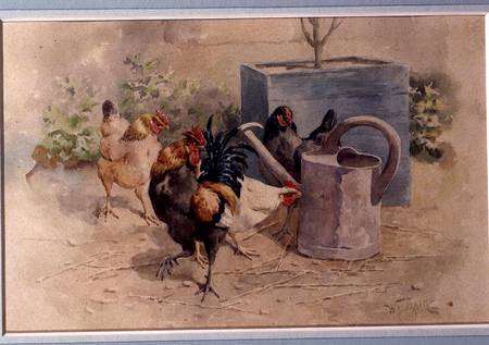 Chickens by a Watering Can (w/c with bodycolour on paper) od William Baptiste Baird