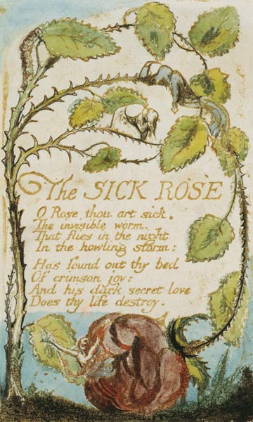The Sick Rose, from Songs of Innocence od William Blake