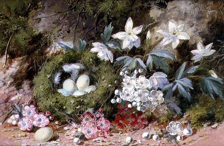 Still Life with Bird's Nest od William Cruikshank