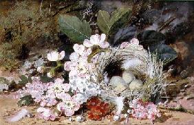 Still Life of Bird's Nest with Primulas