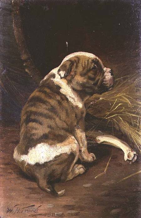 Give a Dog a Bone od William Henry Hamilton Trood