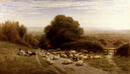 The Sunny Side of a Shepherd's Life - Near Eastbourne od William Snr. Luker