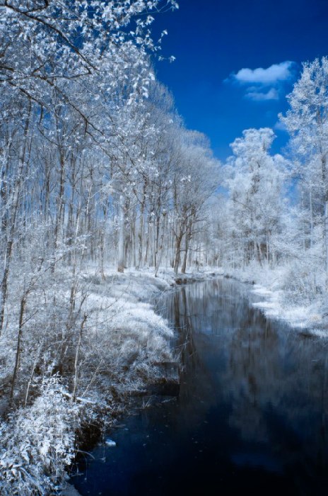 springtime 1 od Wolfgang Simlinger